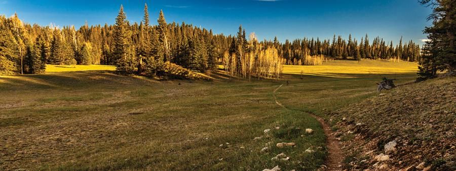 North Rim Ramble 6-Hour Mountain Bike Race