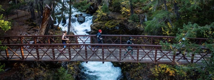 Rogue Gorge Trail Runs