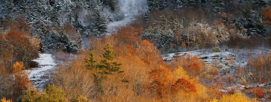 Mount Ascutney Vertical Backyard