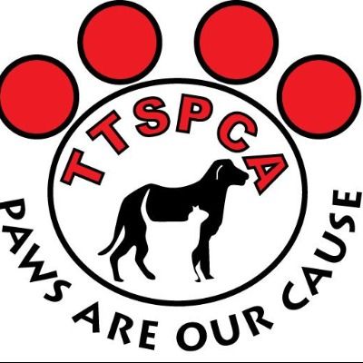 Run Fur Rescues 5K 2025