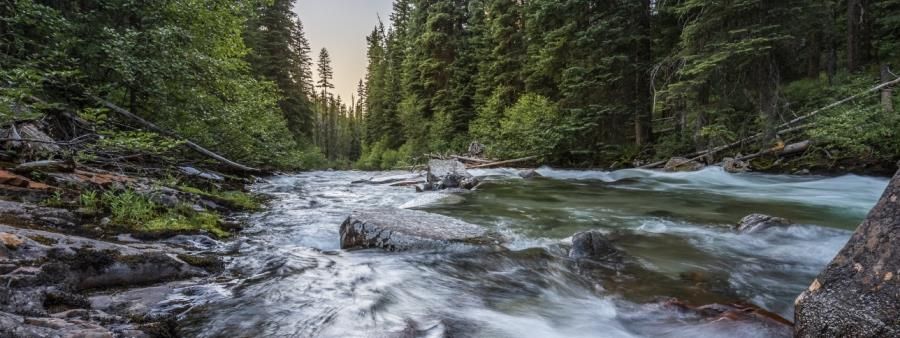 Lostine River Run