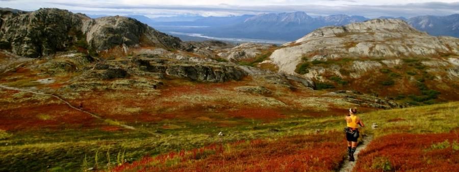 Kesugi Ridge Traverse & Half Traverse