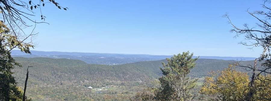 Think Big Trail Challenge