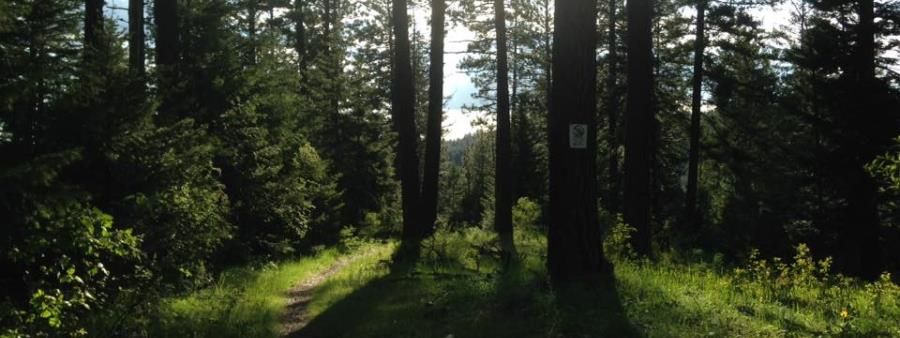 PRR Summer Series 10K - Headwaters