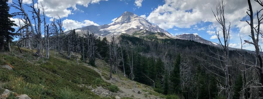 Cloud Cap Mountain Runs