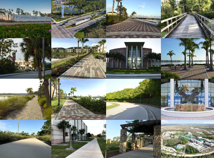 Fort Myers Half Marathon & 5k | ELITE EVENTS