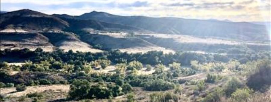 Caspers Trail Races