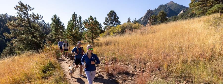 Dirt Circus Boulder