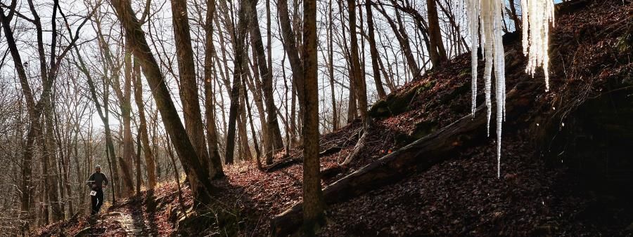 Wildwood Trail Marathon