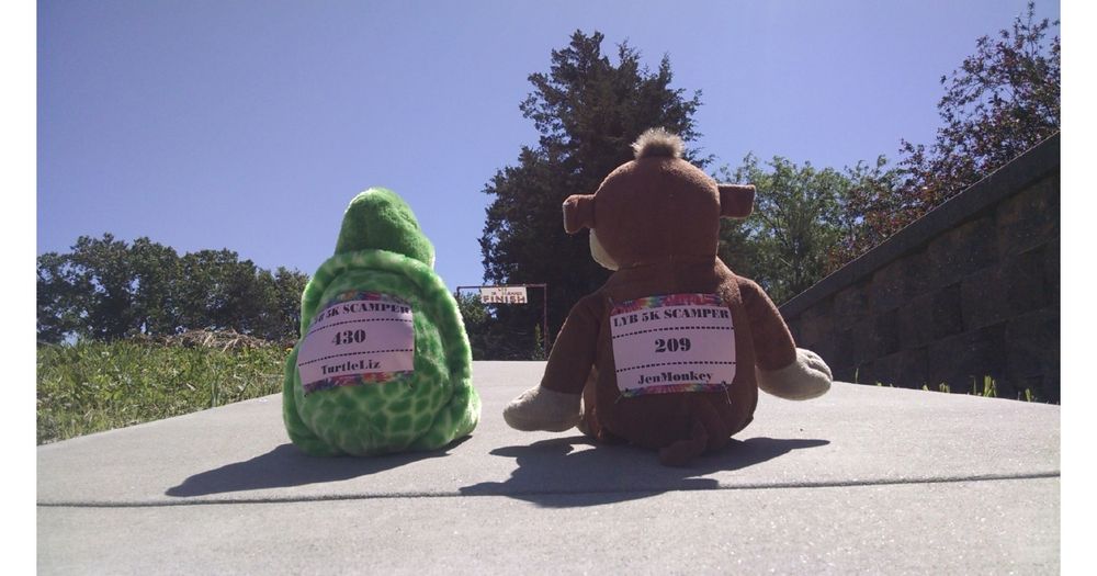 TurtleLiz JenMonkey Friendship Run the Fifth