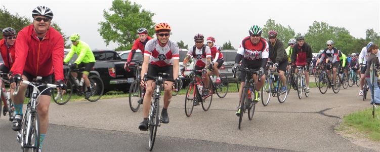 Oz Wicked Wind 100K Online Registration