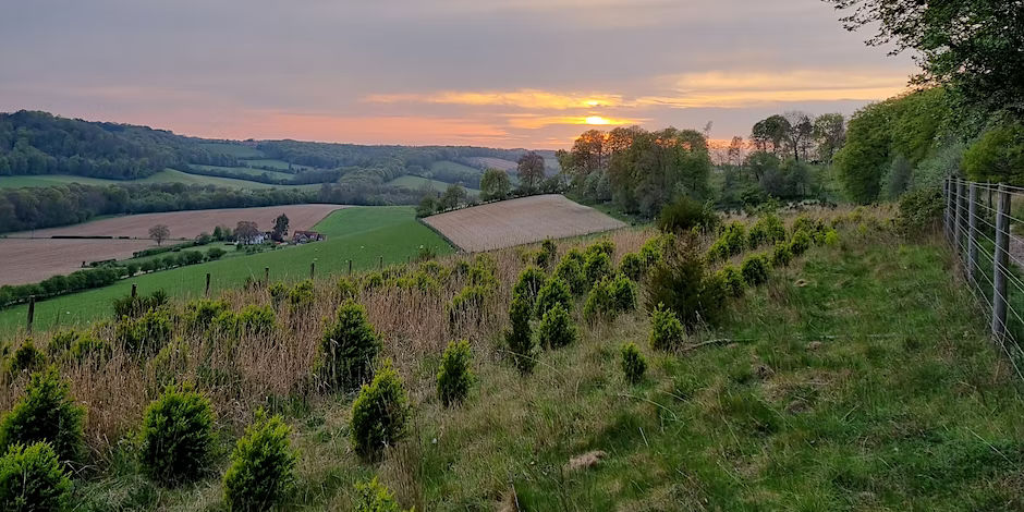 Play In The Wild Pub Run - Guided Run - Chilterns
