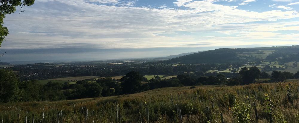 Run Winchcombe 2025