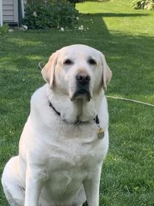 Sarge's 9th Annual "22" Challenge- PTSD Awareness 5K