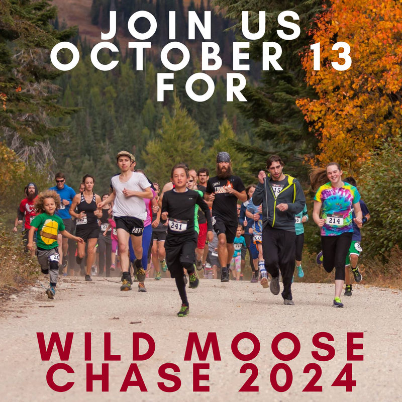 Wild Moose Chase
