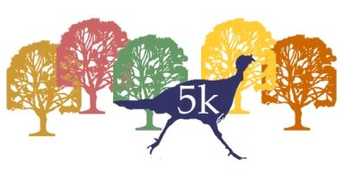 Franklin Park Turkey Trot