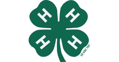 Clover Dash 5k