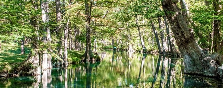 Jacob's Well Classic Online Registration