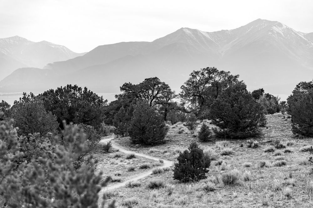 West Line Winder