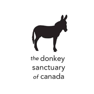 PACE FOR THE DONKEYS 5k TRAIL RUN 2025