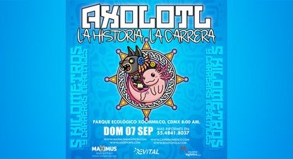Axolotl, La Historia de la Carrera 2025