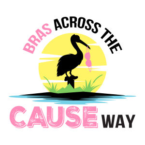 Bras Across the CAUSEway 5k & Fun Run