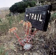 Santa Cruz Island Eco Extreme Half Marathon 2025