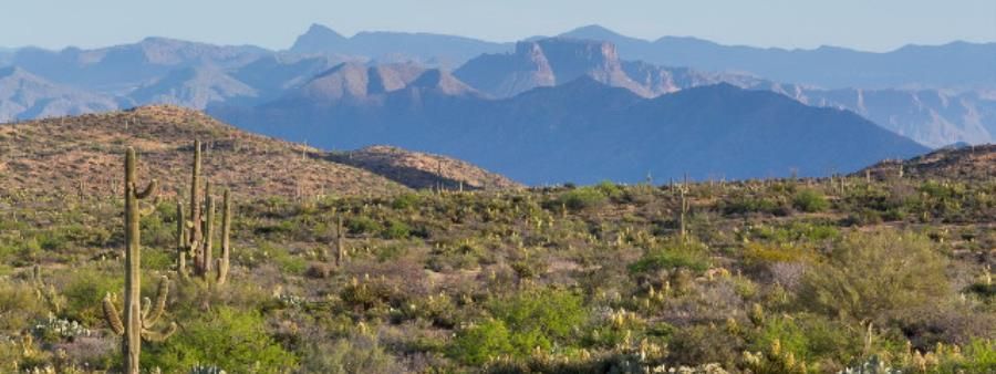 Southern Arizona Triple 50