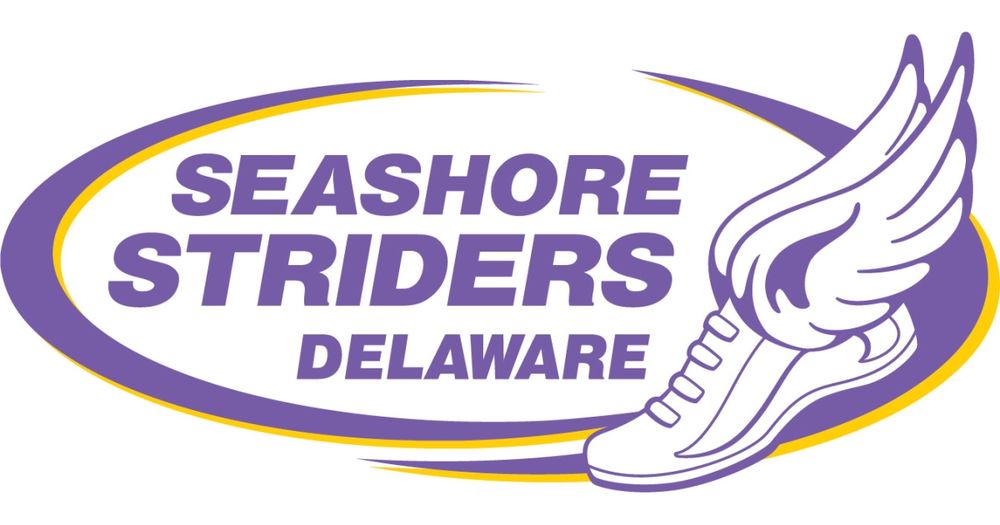 Inaugural Rehoboth Beach "Nations Summer Capital" Open Water Ocean Swim