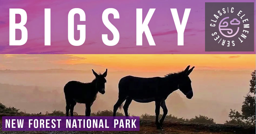 BigSky New Forest Trail Marathon & 18 Mile
