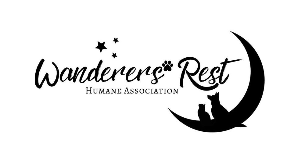 Paws Along The Erie 5k
