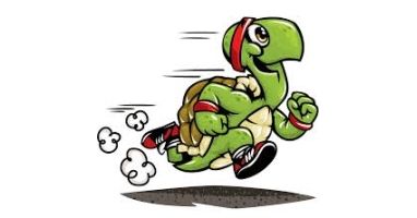 Turtle Lake Turtle Trot