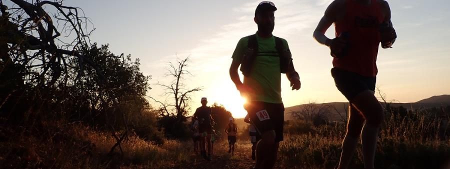 Anza Borrego Cuyamaca 50 Mile Run