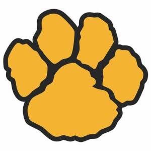 Toys for Tigers