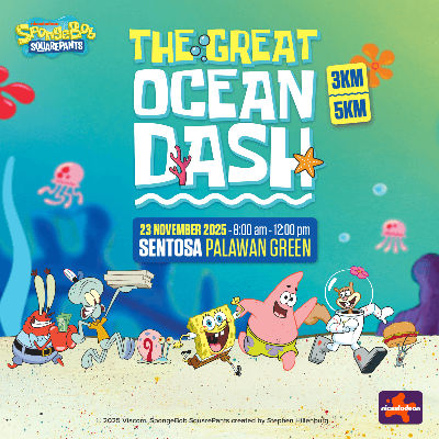 The Great Ocean Dash