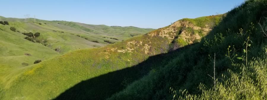 Chino Hills Trail Run Series Fall