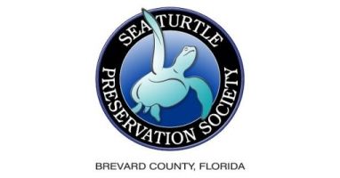 Turtle Krawl 5K