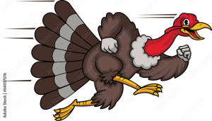 Stratford Turkey Day Trot