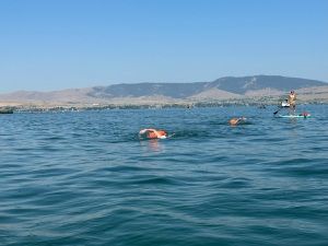 Queens Bay Lake Monsters Open Water