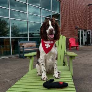 Remington's Celebration 5K