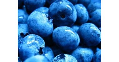 The Machias Blueberry Run: In-Person 5-Mile /1-Mile Fun Run