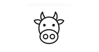 The Bovina 5K