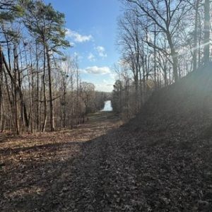 Tic-Tac-Toe Trail Party