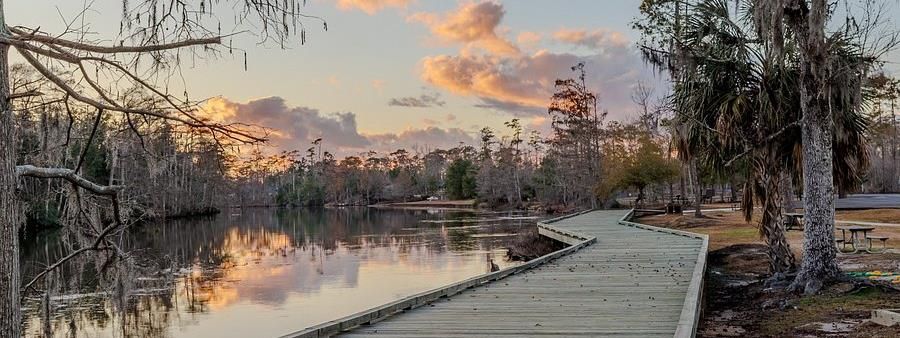 Wild Cajun Trail Runs