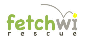 Fetch 5K