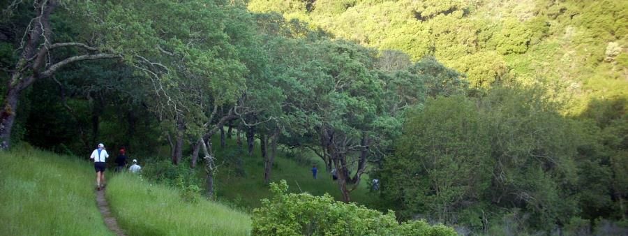 Quicksilver Trail Challenge