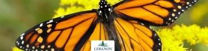 Monarch Run