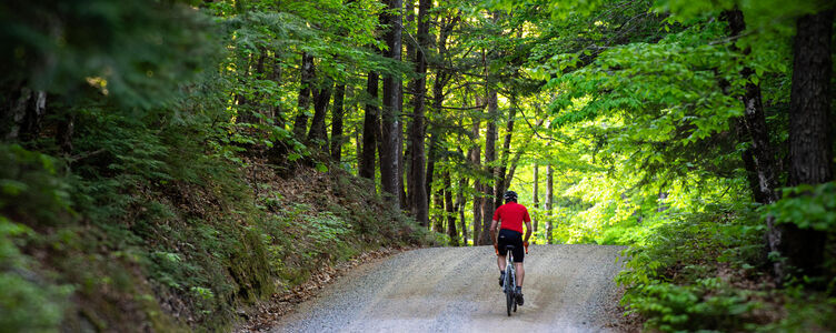 Knobby Rock Gravel Grinder