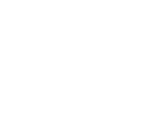 Carver Memorial Library Book It 5K
