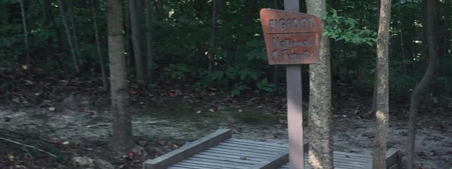Bigfoot Forrest Trail 10 Hour Fun Run